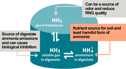 Image shows an anaerobic digester. Text reads NH3 gas in headspace can be a source of odor and reduce RNG quality, NH3 soluble gas in digestate - a source of digestate ammonia emissions and can cause biological inhibition, NH4+ ammonium in digestate is a nutrient source for soil and least harmful form of ammonia