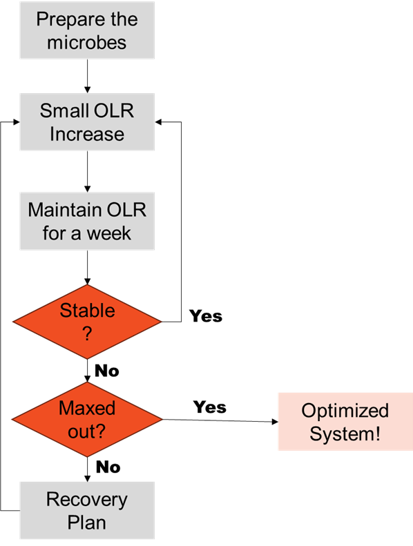 High Fat Operations - OLR